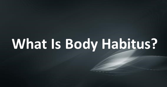 What Is Body Habitus